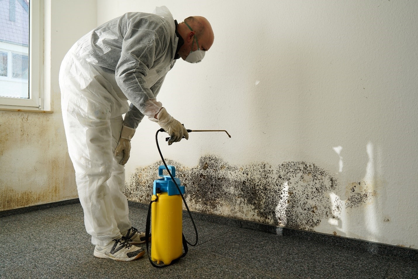 Property Insurance