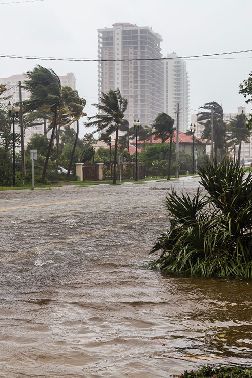 Hurricane damage south florida