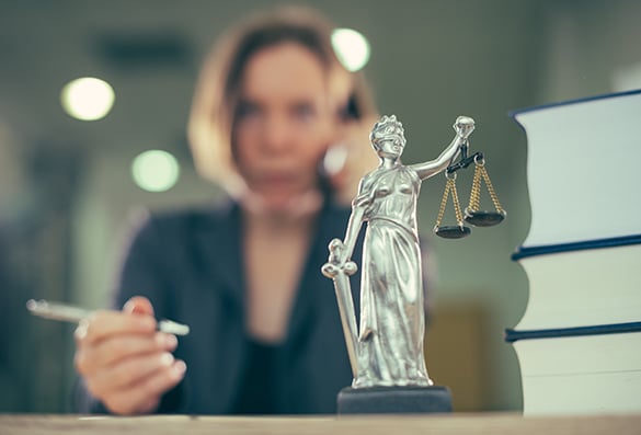 litigation law firm