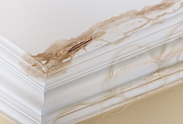 Roof leak interior damage